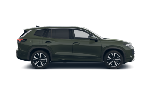 Bild eines Tayron Friends eTSI DSG