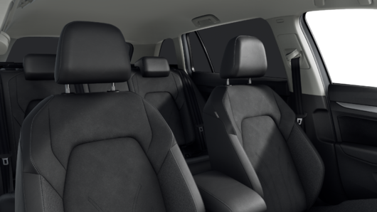 Bild eines Golf Variant Business TSI