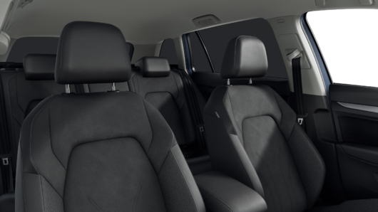 Bild eines Golf Variant Business TSI