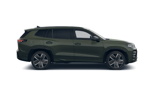 Bild eines Tayron Sport eTSI DSG