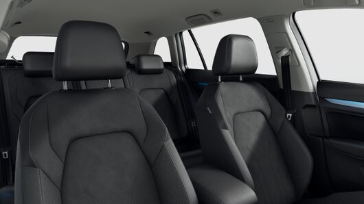 Bild eines Golf Variant Business TDI DSG