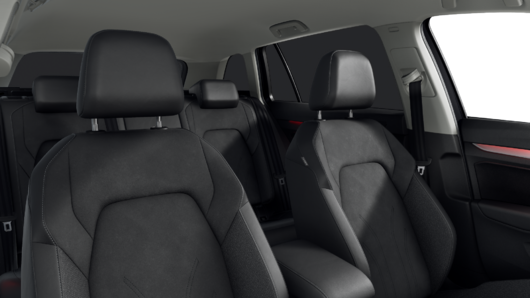 Bild eines Golf Variant Business TDI DSG