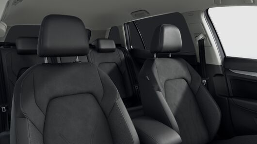 Bild eines Golf Variant Business mHeV DSG