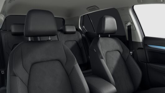 Bild eines Golf Rabbit mHEV TSI DSG