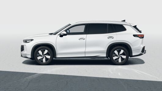 Bild eines Tayron Friends TDI DSG