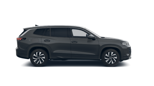 Bild eines Tayron Friends TDI 4MOTION DSG