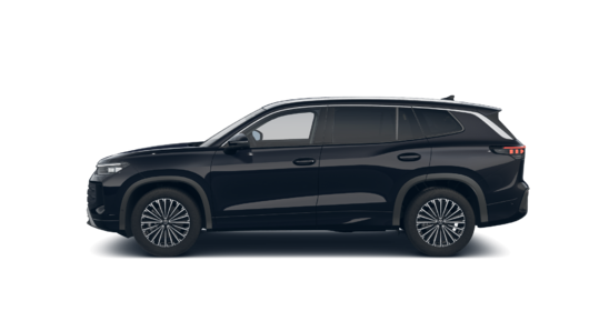 Bild eines Tayron Friends TDI 4MOTION DSG