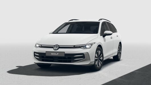 Bild eines Golf Variant Business TDI DSG