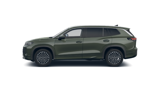 Bild eines Tayron Friends TDI DSG