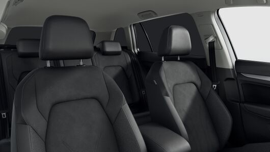 Bild eines Golf Variant Business mHeV DSG