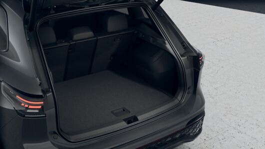 Bild eines Tiguan R-Line TDI DSG