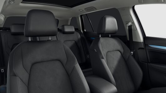 Bild eines Golf Variant Business mHeV TSI DSG