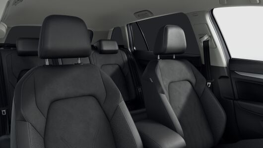 Bild eines Golf Variant Business TSI