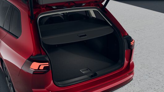 Bild eines Golf Variant Business TSI