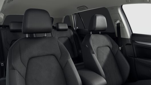 Bild eines Golf Variant Business TSI