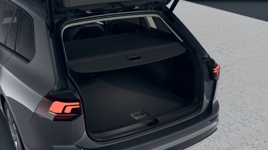 Bild eines Golf Variant Business mHeV DSG