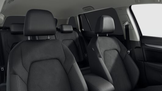 Bild eines Golf Variant Business TDI DSG