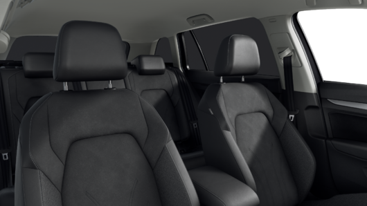 Bild eines Golf Variant Business TDI DSG