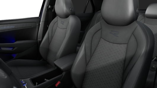 Bild eines T-Roc R-Line eTSI DSG