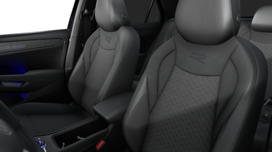 Bild eines T-Roc R-Line eTSI DSG