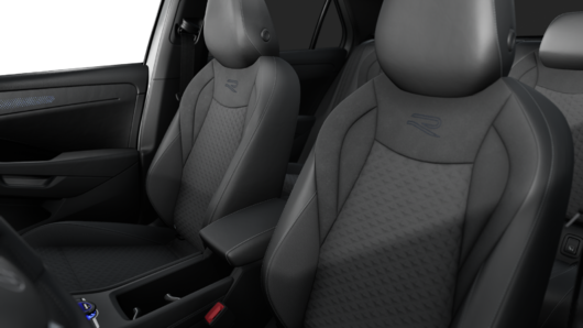 Bild eines T-Roc R-Line eTSI DSG