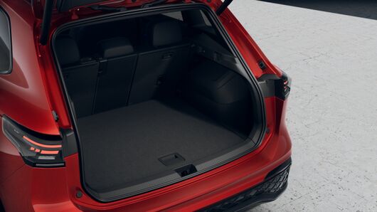 Bild eines Tiguan Sport TDI 4MOTION DSG