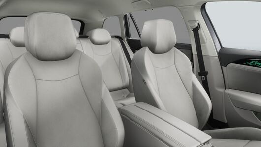 Bild eines Passat Variant Elegance eTSI DSG