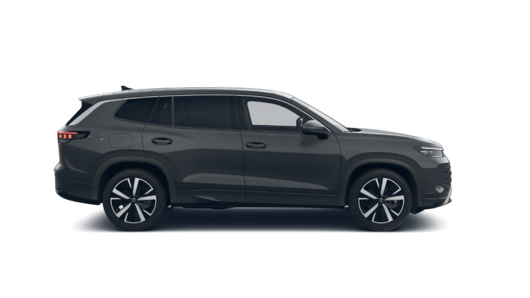 Bild eines Tayron Friends TDI DSG