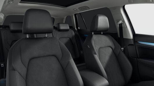 Bild eines Golf Variant Business mHeV TSI DSG