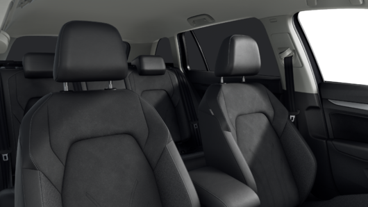 Bild eines Golf Variant Business TSI