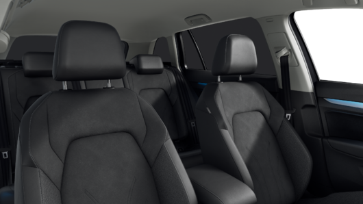 Bild eines Golf Variant Business TSI