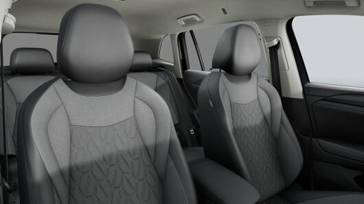 Bild eines Tiguan Friends TDI DSG