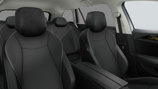 Bild eines Passat Variant Business TDI DSG