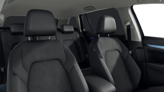 Bild eines Golf Variant Business TDI DSG