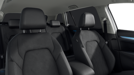 Bild eines Golf Variant Business TDI DSG