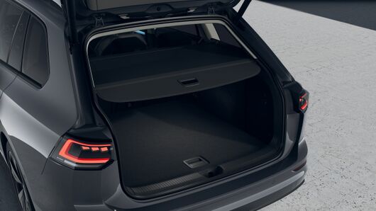 Bild eines Golf Variant Business mHeV TSI DSG