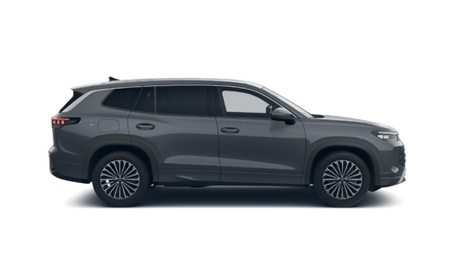 Bild eines Tayron Friends eTSI DSG