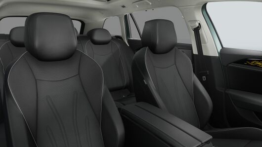 Bild eines Passat Variant Business eTSI DSG