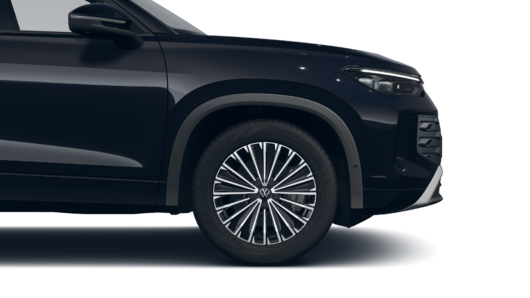 Bild eines Tayron Friends TDI DSG