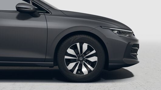 Bild eines Golf Variant Business TSI