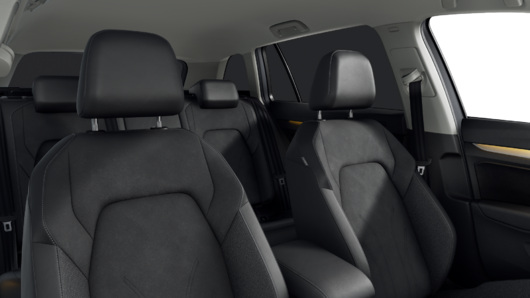 Bild eines Golf Variant Business mHeV DSG