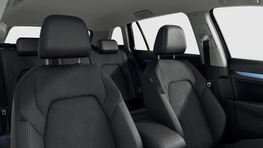 Bild eines Golf Variant Business mHeV DSG