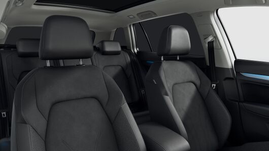 Bild eines Golf Variant Business mHeV DSG