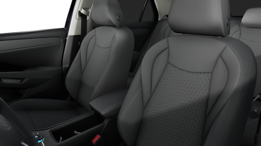 Bild eines T-Roc Life eTSI DSG