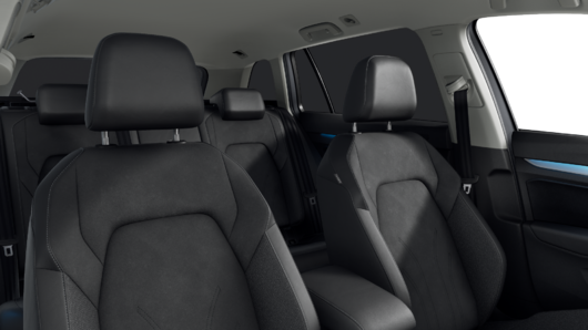 Bild eines Golf Variant Business TDI