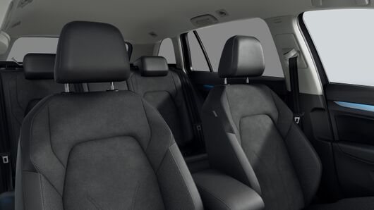 Bild eines Golf Variant Business mHeV DSG