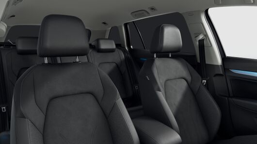 Bild eines Golf Variant Business TDI DSG