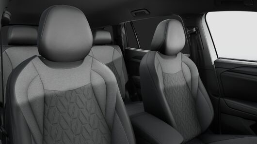 Bild eines Tayron Friends TDI DSG