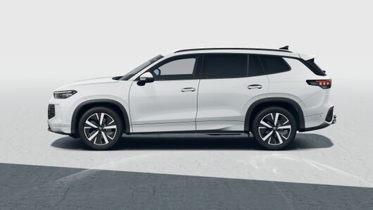 Bild eines Tayron Friends TDI DSG