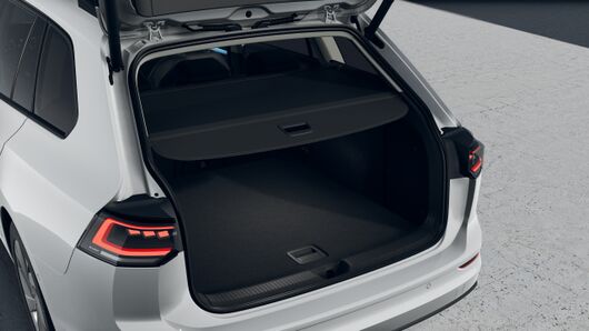 Bild eines Golf Variant Business mHeV DSG